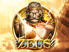 Zeus screenshot