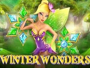 Winter Wonders screenshot